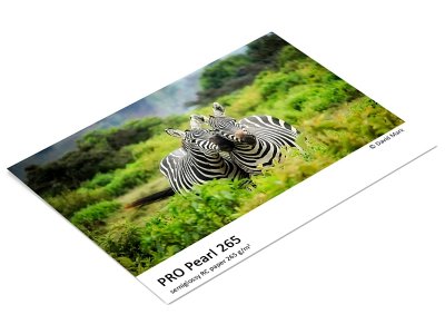 FOMEI A4/5 PRO Pearl 265